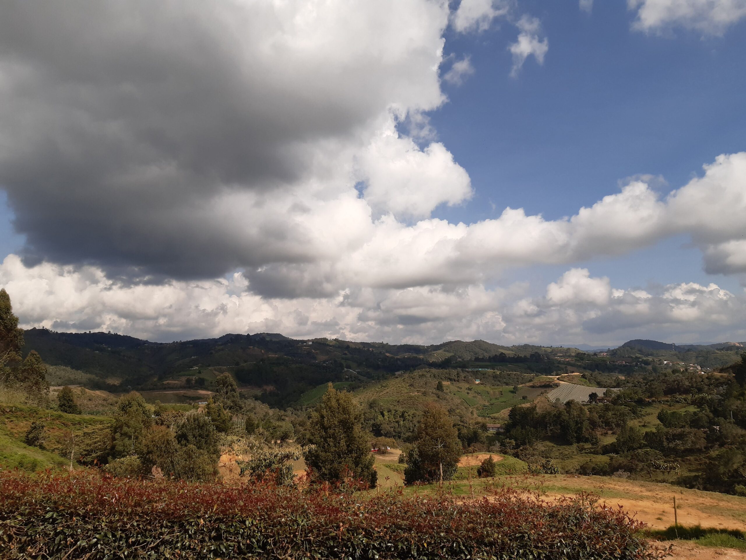 Tierras baldías en San Vicente de Ferrer. Foto: David Cano